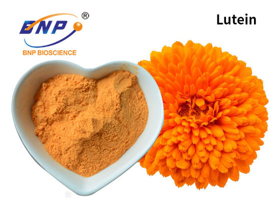La naranja natural de la luteína del extracto de la maravilla de los suplementos pulveriza 5%-90% para los ojos