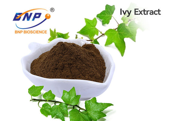 10:1 natural o el 10% Hederacoside C del extracto de la hélice de Ivy Leaf Extract Powder Hedera