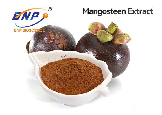 GMP/ISO certificó el polvo natural del extracto del mangostán de la alfa-mangostin 10%-90% de BNP China
