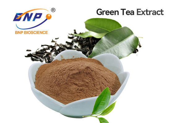 Polifenoles del té del extracto del té verde 20%-98% Brown, polvo blanco