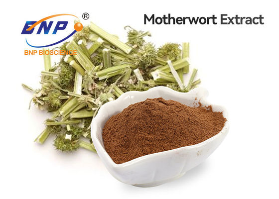 Polvo de Brown de la categoría alimenticia del extracto del Motherwort