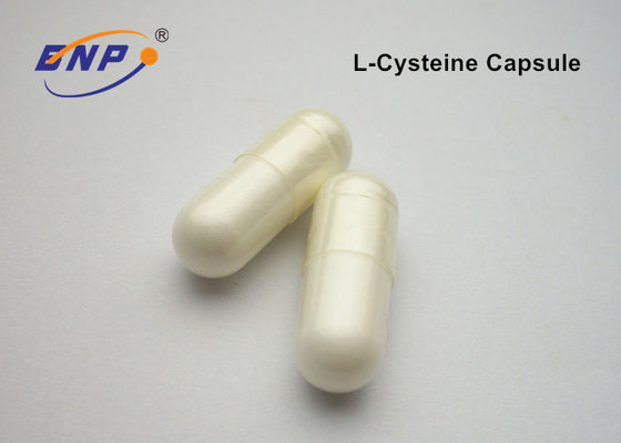 polvo blanco L cápsulas del suplemento dietético del OEM 500mg de la cisteína