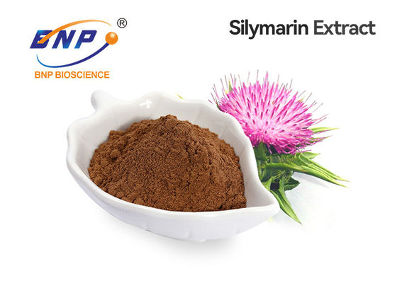 El extracto del 30% Silybin el 80% Silymarin Silymarin pulveriza el extracto del cardo de leche del GMP para el hígado