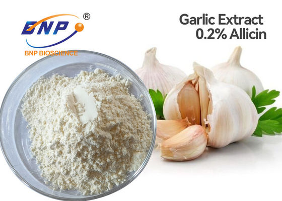 El extracto natural del ajo de la prueba de la CLAR pulveriza la categoría alimenticia del 2% Allicin