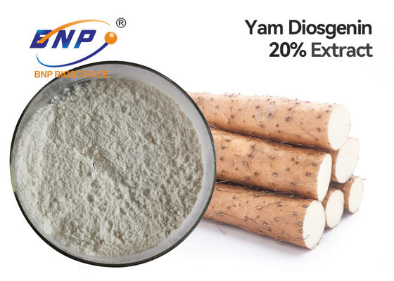 Extractos naturales Yam Root Powder salvaje blanco como la leche de la planta de Diosgenin el 6%