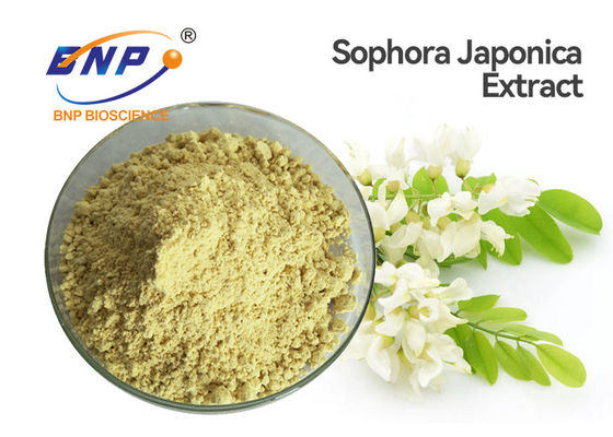 El extracto amarillo de Japonica del Sophora pulveriza el polvo del dihidrato de la quercetina de la categoría alimenticia