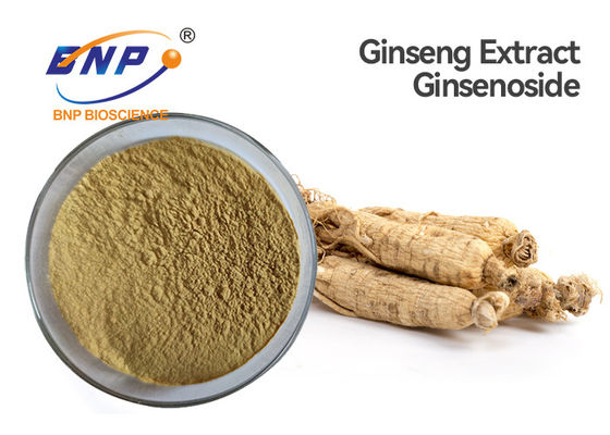 La planta natural de Ginsenoside el 80% extrae el polvo del extracto del ginseng de Brown