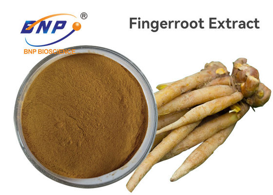 Polvo amarillo de Brown de la planta de la flavona el 5% de los extractos de la raíz natural del finger