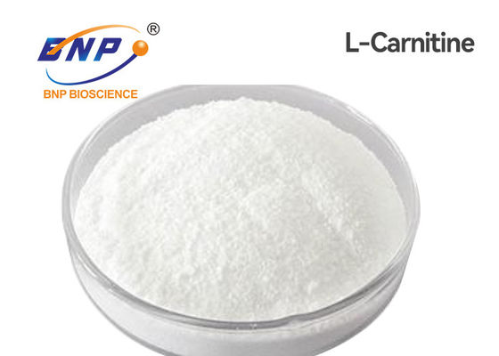 USP Nutraceuticals complementa Levocarnitine L polvo de la carnitina