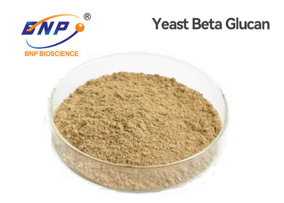 Los polisacáridos amarillos claros de Beta Glucan el 80% de la levadura de los alimentos naturales pulverizan el GMP