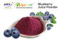 Arándano Juice Powder del suplemento del polvo de la legumbre de fruta de la categoría alimenticia