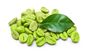Categoría alimenticia verde de Bean Extract Chlorogenic Acid el 50% del café