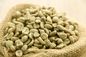 Categoría alimenticia verde de Bean Extract Chlorogenic Acid el 50% del café