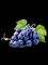 Extracto Vitis vinifera Proanthocyanidins el 95% de la semilla de la uva secada