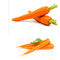 Zanahoria orgánica fina Juice Powder del suplemento vegetal del polvo de los frutos secos
