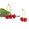 Acerola antienvejecedor de alta calidad Cherry Extract Powder de la vitamina C del 17%