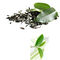 Polifenoles del té del extracto del té verde 20%-98% Brown, polvo blanco