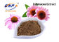 Categoría alimenticia del polifenol el 4% del extracto de Purpurea del Echinacea