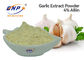 El extracto inodoro del ajo del GMP pulveriza marca del BNP del 4% Allicin