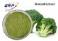Malla orgánica verde clara de la categoría alimenticia del polvo del brote del bróculi 80