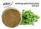 El extracto antivirus de Andrographis Paniculata pulveriza la CLAR del 50% Andrographolide