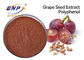 Polifenol el 60% del bulto del polvo del extracto de la semilla de la uva de la balanza de la salud de BRC