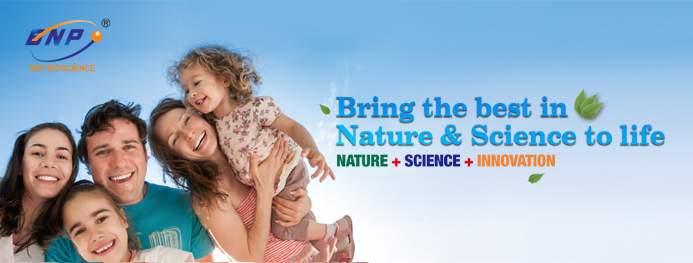 calidad Extractos naturales de la planta fábrica