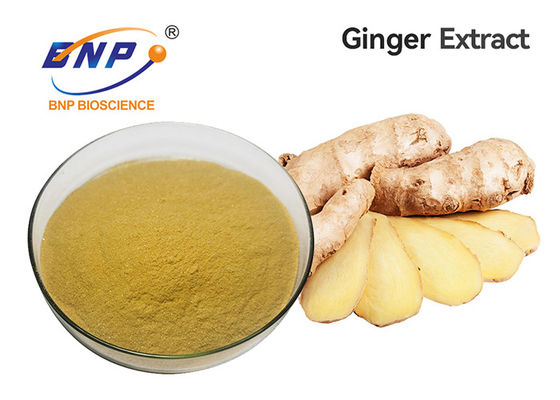 Categoría alimenticia de Ginger Root Extract Gingerol 5%-10%