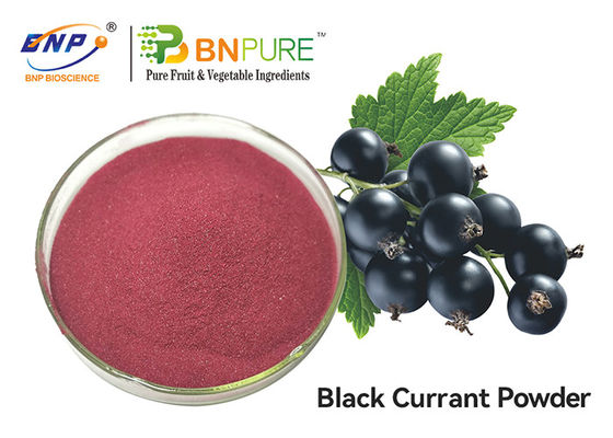 Extracto rojo púrpura de la fruta de Juice Powder Food Grade Ribes Nigrum de la grosella negra