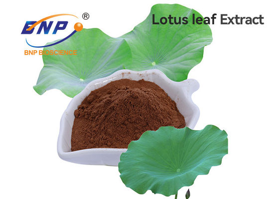 Cargue la pérdida Nuciferin el 2%, el 98% Lotus Leaf Extract del BNP
