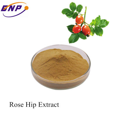 La mejor fuente Rose Hip Extract With Vitamin C /Polyphneol del precio de la fábrica del BNP