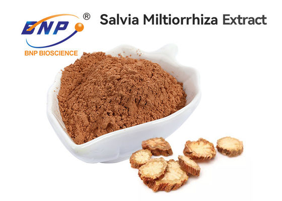 Fábrica de calidad superior del BNP de Salvia Root Extract From