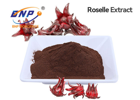 Polvo rojo de Roselle Extract Anthocyanins Brown