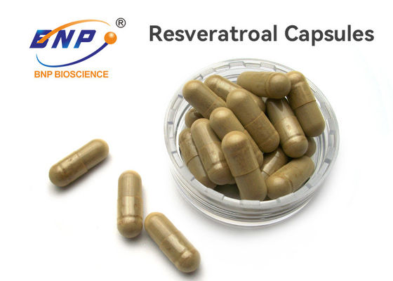 Cápsulas naturales del Resveratrol del suplemento 100mg del OEM del 100%