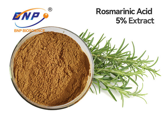 GMP Rosemary Extract de alta calidad con el 5% Carnosic ácido y Carnosol