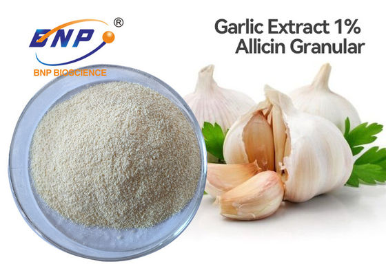 El extracto del ajo del 1% Allicin pulveriza granular