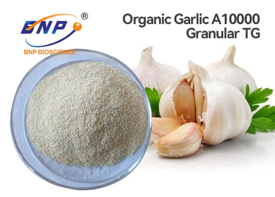 Alium sativum granular orgánico L. del extracto A10000 del ajo del 1% Allicin.