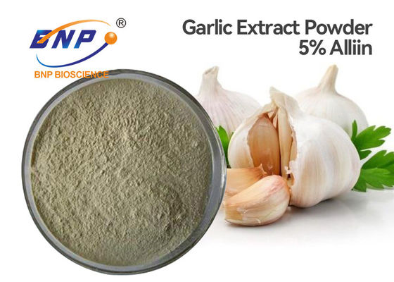 Polvo blanco antibacteriano del extracto el 5% Allicin del bulbo de alium sativum del GMP