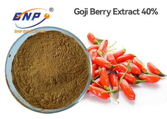 Polvo solvente de Barbarum del Lycium del polisacárido de Goji Berry Extract el 40% del agua