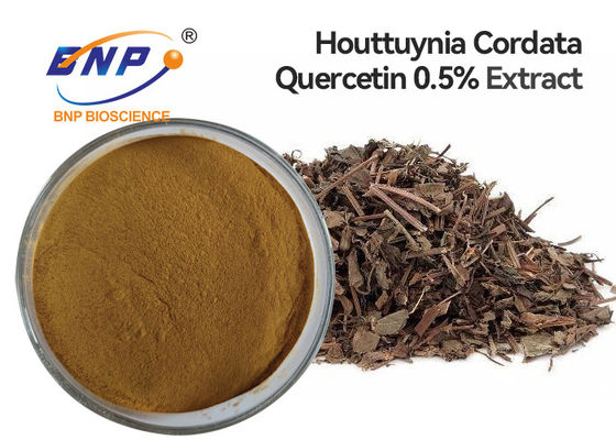 Quercetina de alta calidad del extracto de Houttuyniae del Herba del polvo del extracto de Cordata del Houttuynia