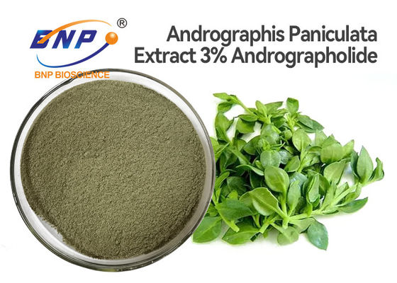 Polvo antivirus natural del extracto de la hoja de Andrographis Paniculata de los suplementos del 3% Andrographolide