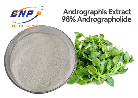 El extracto de la hoja del ISO Andrographis Paniculata pulveriza el 98% Andrographolide