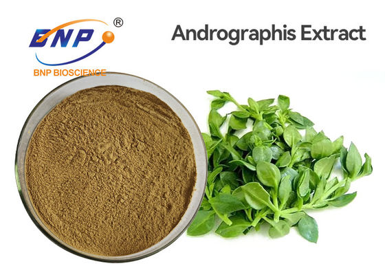 El extracto antibacteriano de Andrographis Paniculata de la categoría alimenticia pulveriza 3%-99% Andrographolide