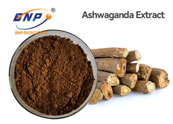Raíz natural de Ashwagandha Withania Somnifera de los extractos de la planta de Withanolides 1,5%