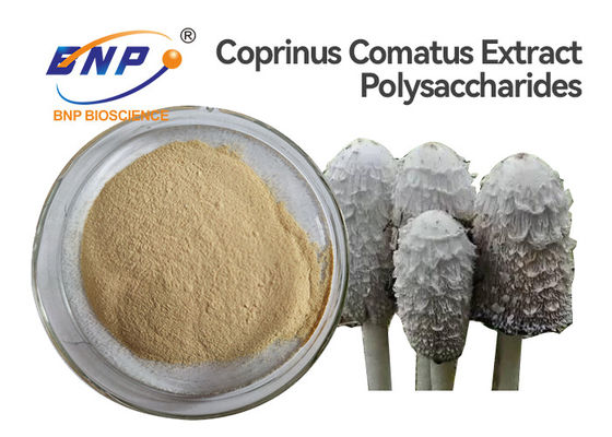 El extracto ULTRAVIOLETA de la seta de la prueba pulveriza el Coprinus libre Comatus de GMO