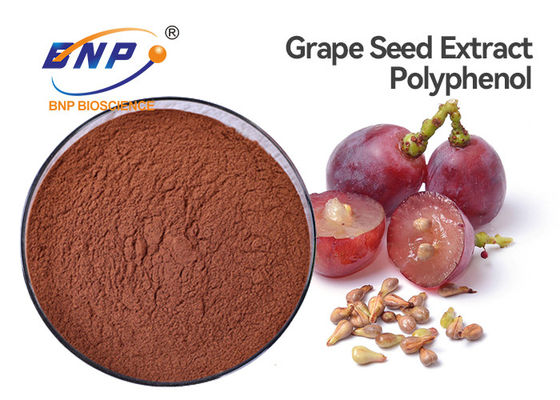 Polifenol antioxidante el 70% del suplemento del extracto de la semilla de la uva