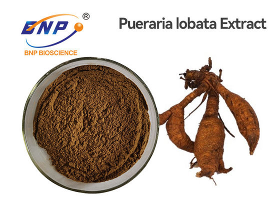 La planta natural de la raíz de Kudzu extrae el polvo amarillo del Lobata del Pueraria de los isoflavonas el 40% Brown