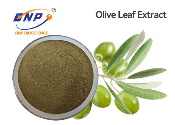 La planta natural amarilla de Brown de la CLAR extrae la oleuropeína el 60% Olive Leaf Extract Powder