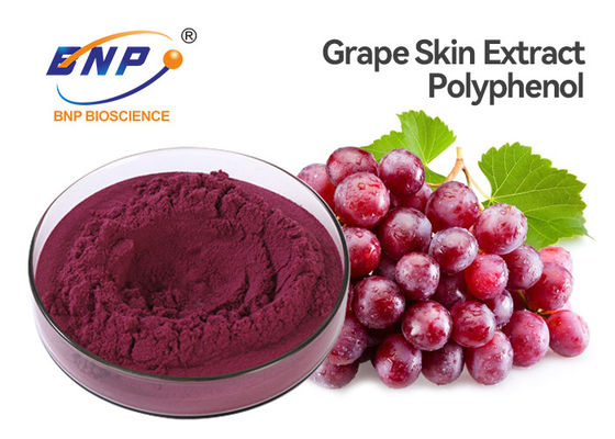 Nigra L. del Sambucus de Vitis vinifera del extracto de la piel de la uva roja del polifenol del 20%.