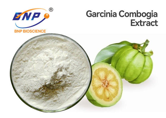 La planta natural del polvo fino blanco extrae el extracto ácido de Camboya del Garcinia de Hydroxycitric el 50% el 60%